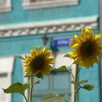sonnige Seite Ulan Bators