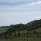 die letzten Wälder
