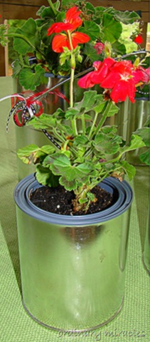[flower pot 2[7].jpg]