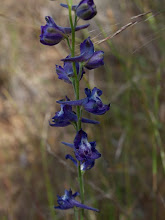 P5312411
