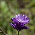 P6052455