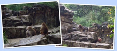 View zoo4