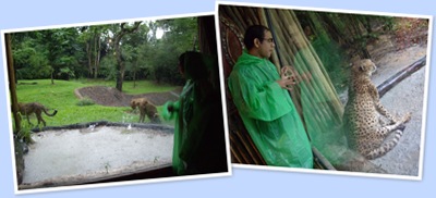 View zoo6