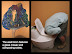 RDLP glass mosaic and composting toilet