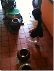 IMG_0395 IMG_0395
