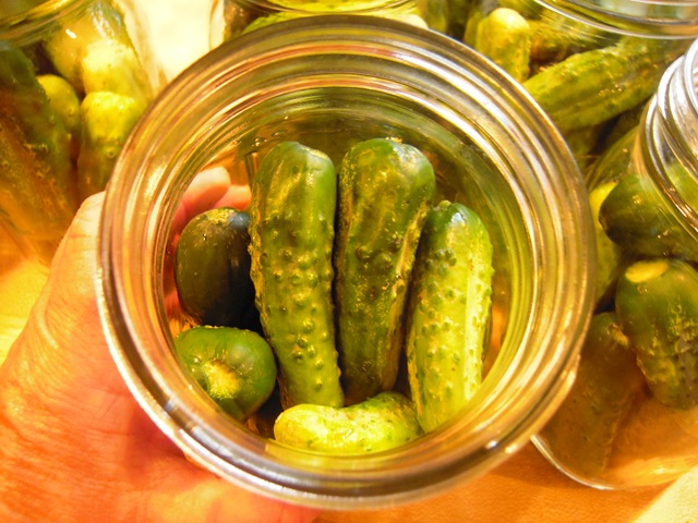 [pickles 020[2].jpg]