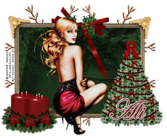 [Ali_JaneskoChristmasDBH1[6].jpg]