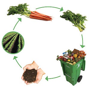 [composting_5[2].jpg]