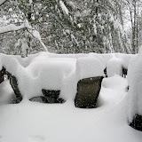 Blizzard! (2010)