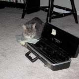 Sleeping on random objects.