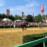 Ye olde jousters.