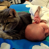 Fighting for space on mommy's lap. (April)