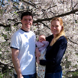 Cherry blossoms! (April)