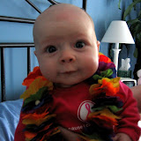Tropical baby. (May)
