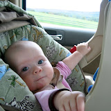 Lily's new habit of "bracing herself" in her carrier. Weird. (October)