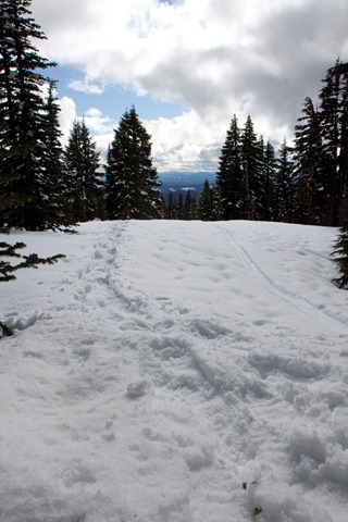 [Mt Hood Snowshoeing-52[2].jpg]