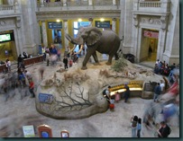 IMG_1500 IMG_1500