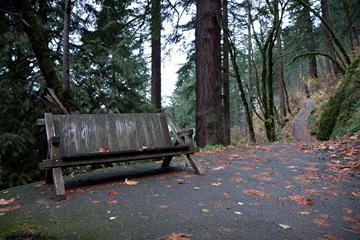 [Oregon Waterfalls-100[2].jpg]