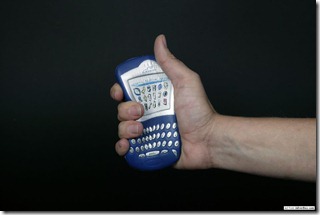 blackberry31
