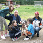 Rovaniemi Husky1.JPG