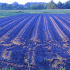 2008 January - May 038.jpg