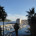 DSC02536.JPG