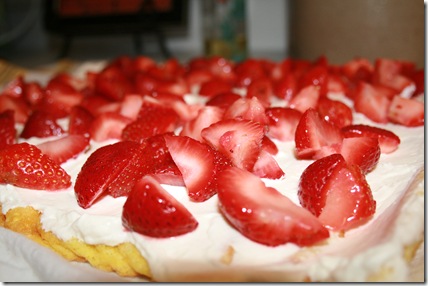 rollo de fresas12 rollo de fresas12