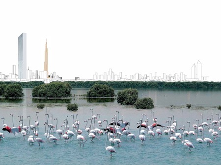 [Wild Life birds[3].jpg]