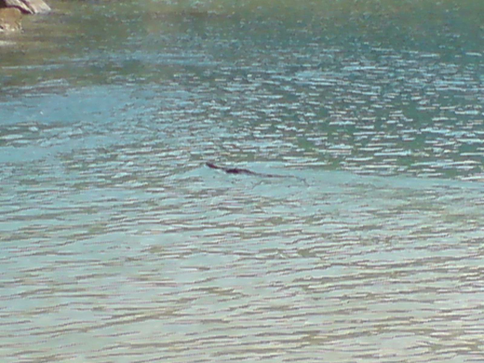 [DSC00058.JPG]