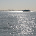 IMG_4617.JPG