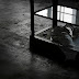 IMG_5315.JPG