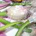 R0025188.JPG