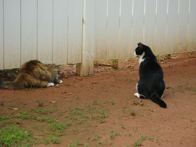 [standoff[3].jpg]