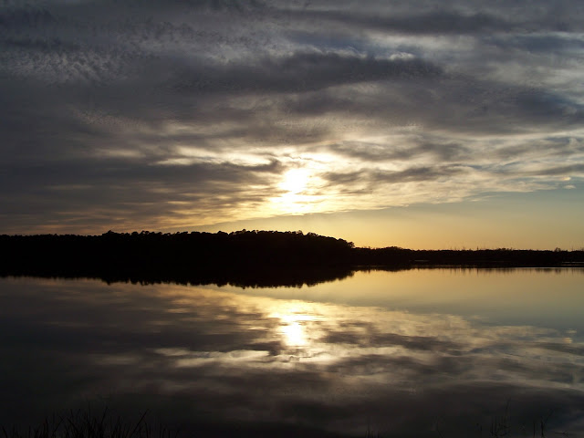 100_3949.JPG