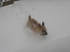 snowpocolypse 2009 003.jpg