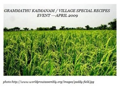 [paddy-field[2].jpg]