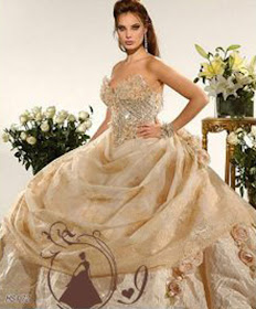 Look Like Princess Collection