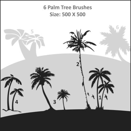 Palm Tree Brushes Palm Tree Brushes
