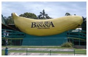coffs_harbour_big_banana coffs_harbour_big_banana