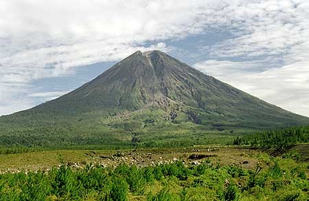 [semeru_40636[4].jpg]