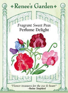sweetpea-perfume-f