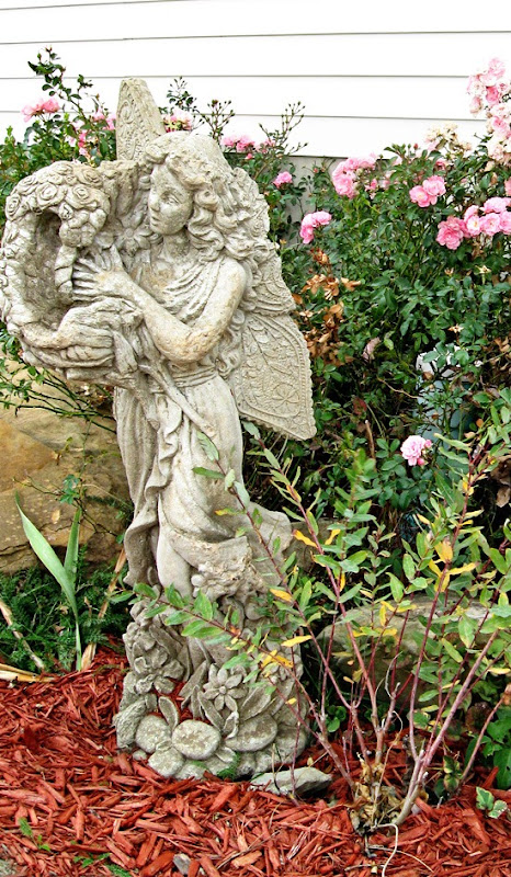 IMG_7554