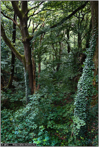Germany : Schwarzwald : Freiburg : Slossberg