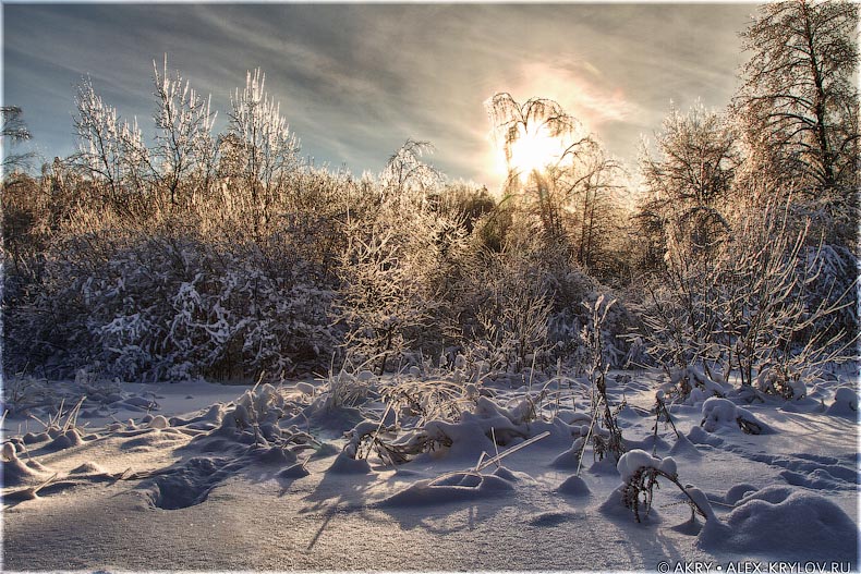 Ice Land