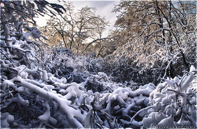 Ice Land