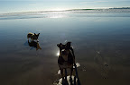 Augie and Kirby album cover