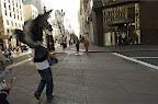DSC_0065.NEF (Raw)