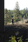 DSC_0011.NEF (Raw)