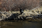 _DSC0042.NEF (Raw)