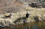 _DSC0056.NEF (Raw)